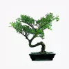 product-image-2_optimized