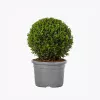 product-image-4_optimized
