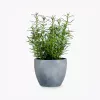 product-image-5_optimized
