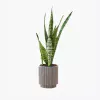 product-image-6_optimized