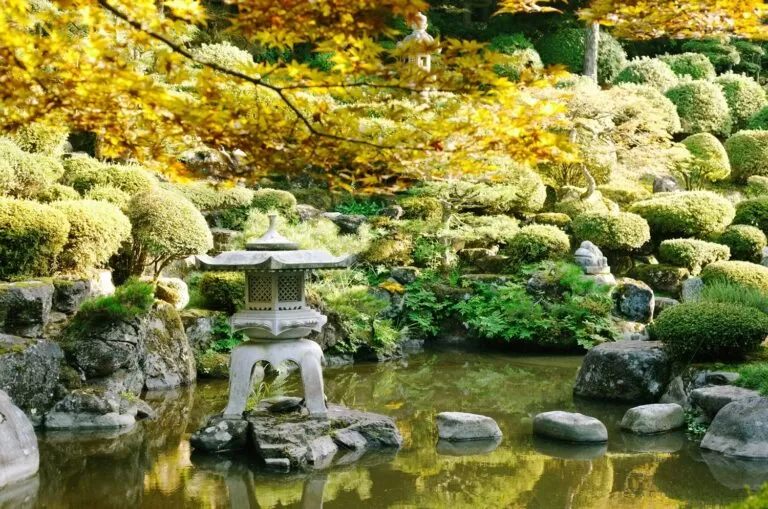 تصميم حدائق منزلية في ام القيوين